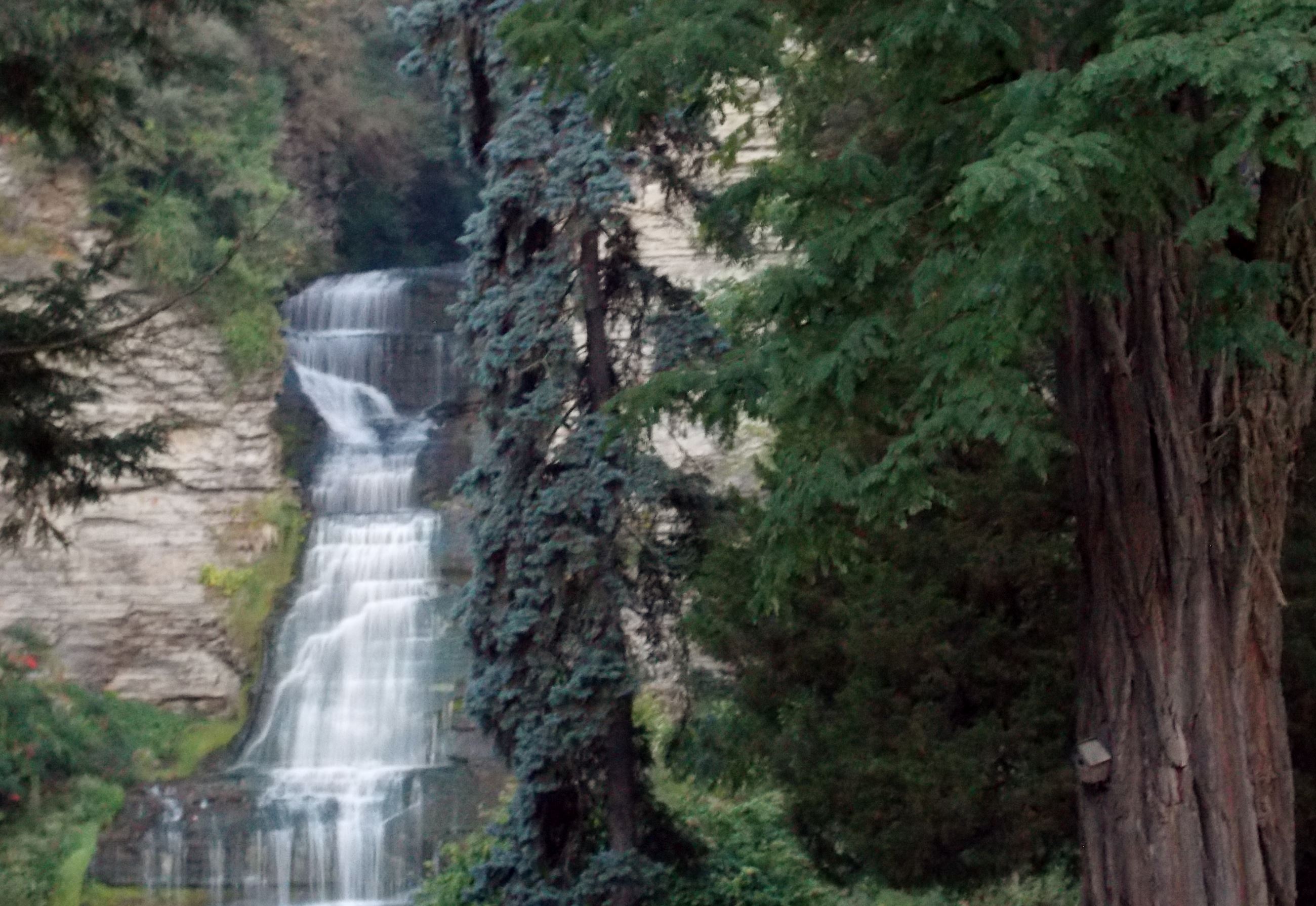 Taken by Karen Stegner